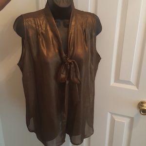 Sheer Bronze Shirt